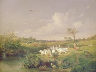 Grazende Ganzen, 1854